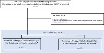 Abnormal left atrial compliance is associated with a history of life-threatening arrhythmia in corrected Tetralogy of Fallot